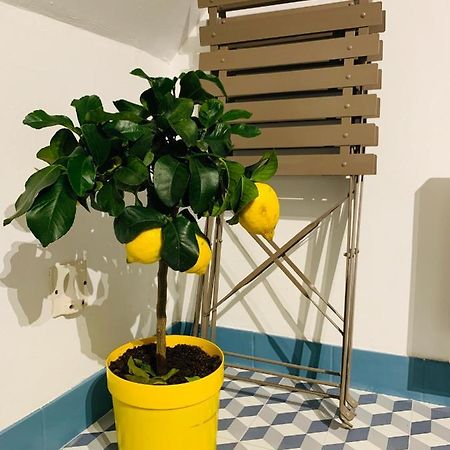 סנס La Maison De Nina מראה חיצוני תמונה