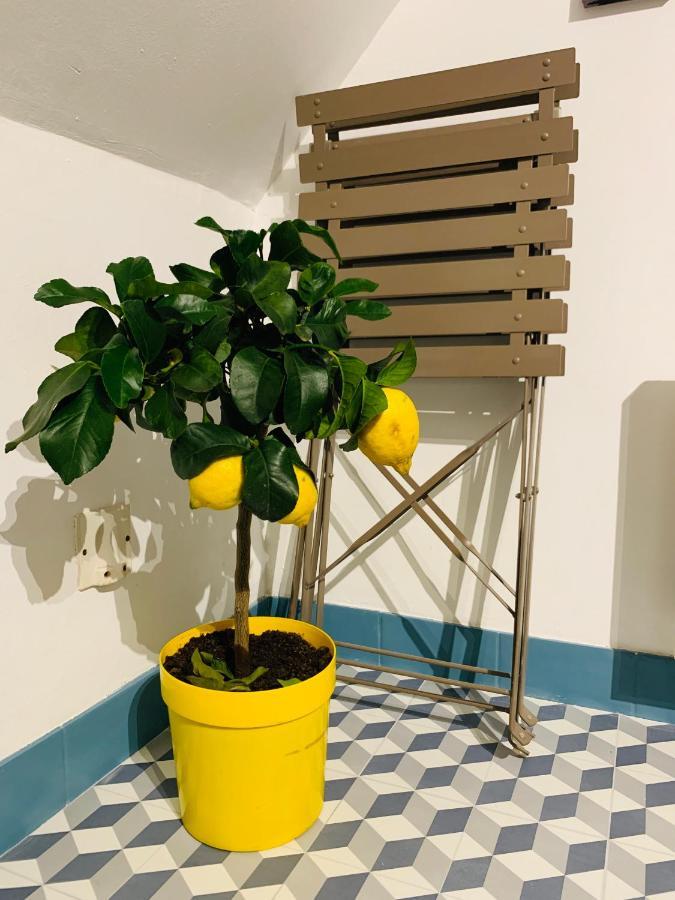 סנס La Maison De Nina מראה חיצוני תמונה